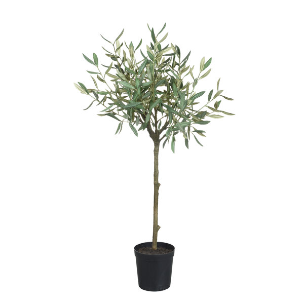 The Seasonal Aisle Artificial Olive Tree in Pot Wayfair.co.uk